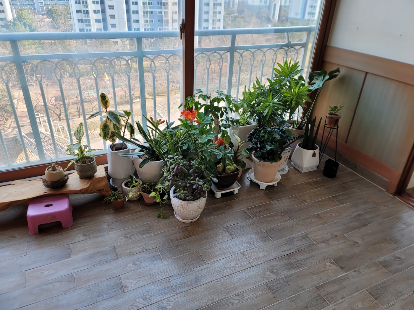 KakaoTalk_20250328_073235295_05.jpg